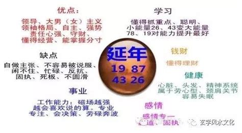 延年加伏位|数字组合之延年磁场加伏位磁场